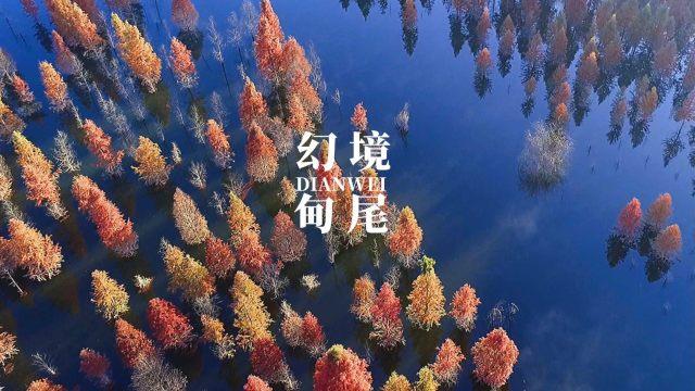 激萌三国志