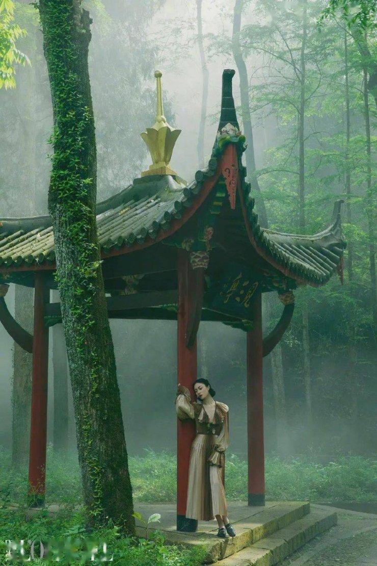 燃烧吧大脑免广告最新版