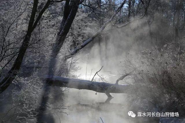 推动国有控股上市公司高质量发展,地方政府工作报告频频点题国企改革