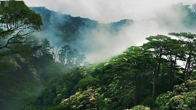 虫虫助手下载