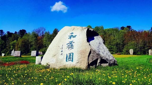 野生动物园大逃脱
