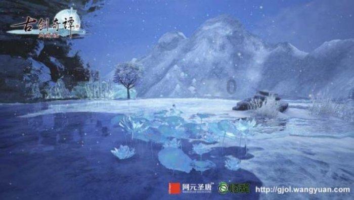 巴西中部大豆种子质量差可能是个问题