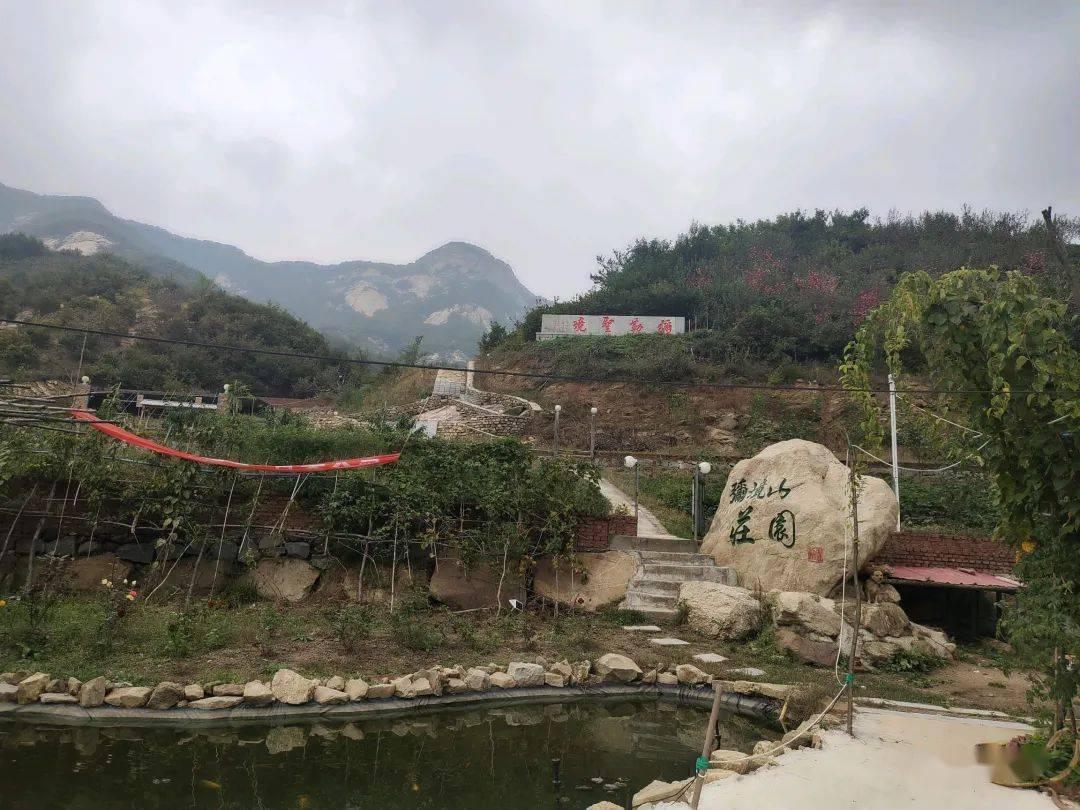 云南东星物业服务有限公司被罚款3000元