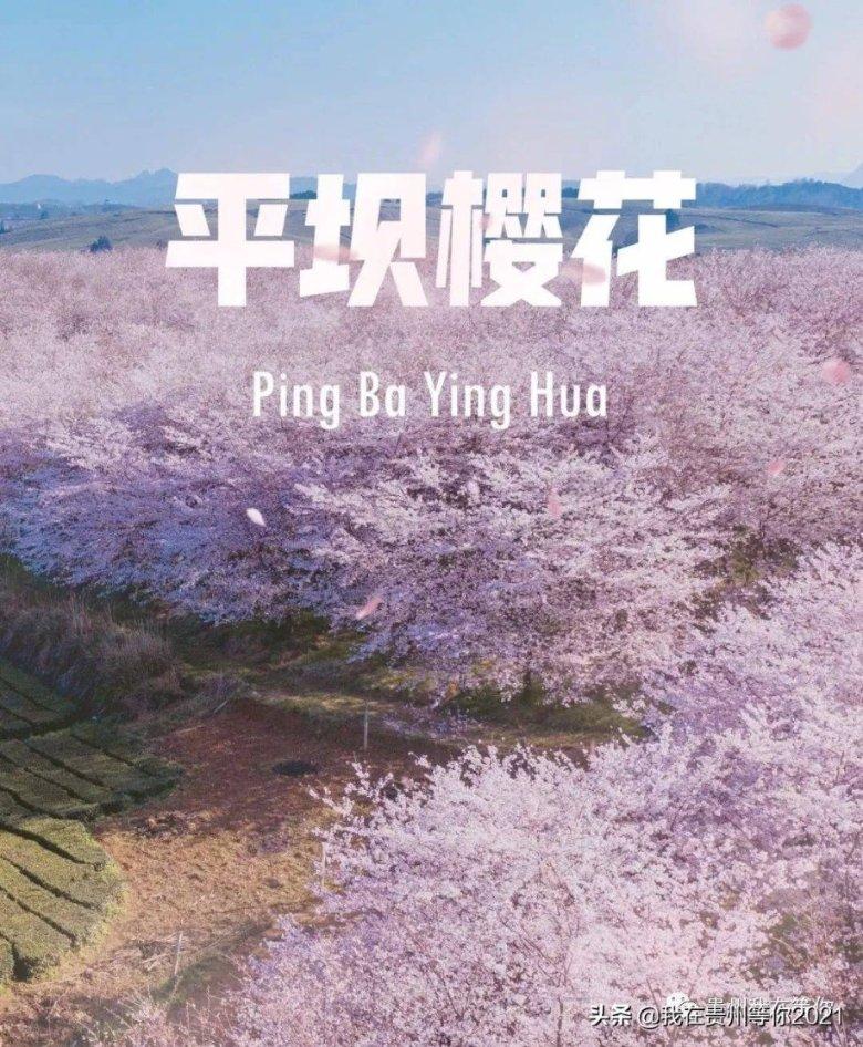 全民烧脑3去广告版