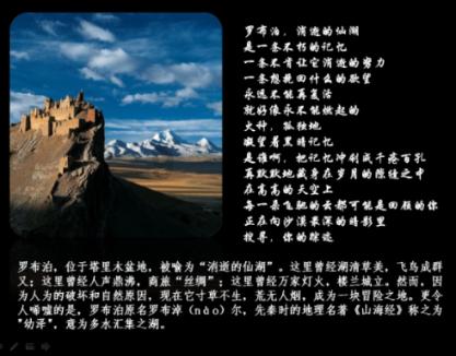 逃出熊蜂森林