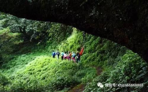 燃烧吧大脑装瓶子游戏