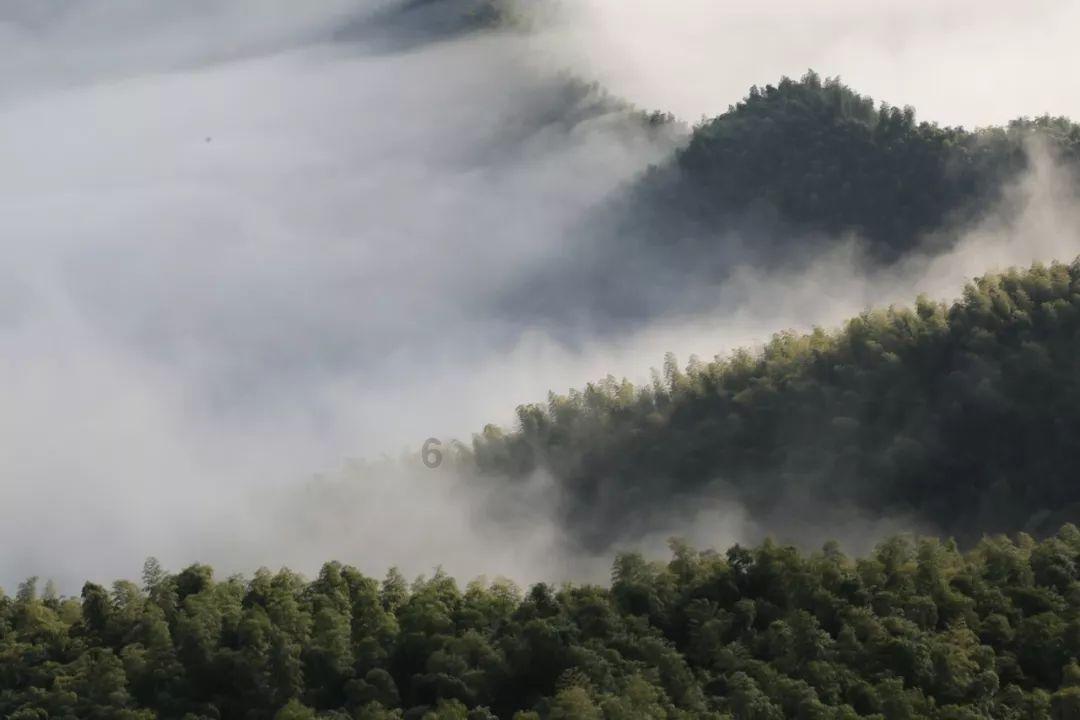 探索独自旅行选择什么样的住宿方式省钱又舒适?,发现更多的乐趣 - 独自旅行选择什么样的住宿方式省钱又舒适?红迪网