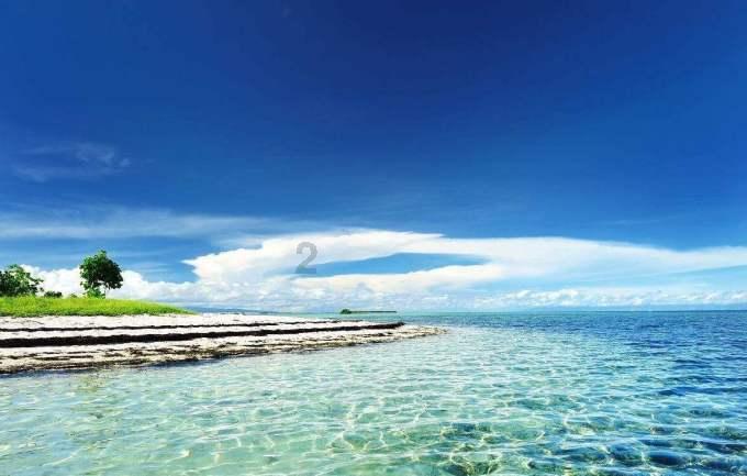 小伙花近200元网购“海鲜大咖”,开箱时傻眼了,真没装错吗?
