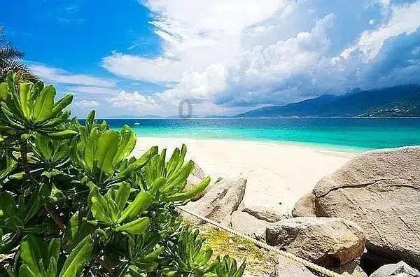 是不是很多人都遗忘了秋海棠叶地图,忘了外西北、外东北、外蒙古