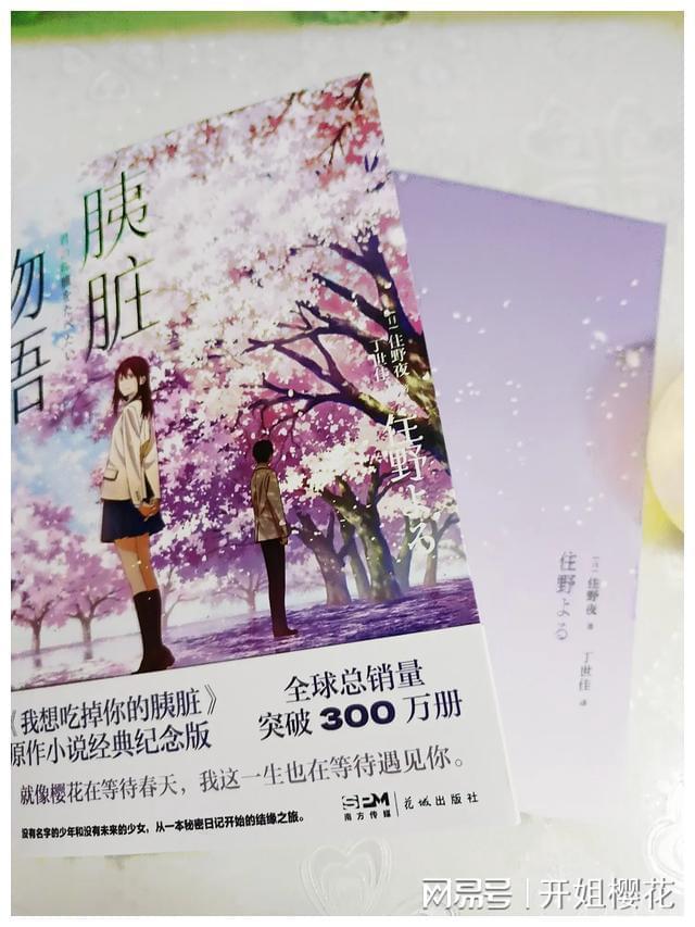 小猫钓鱼游戏龙王版有船