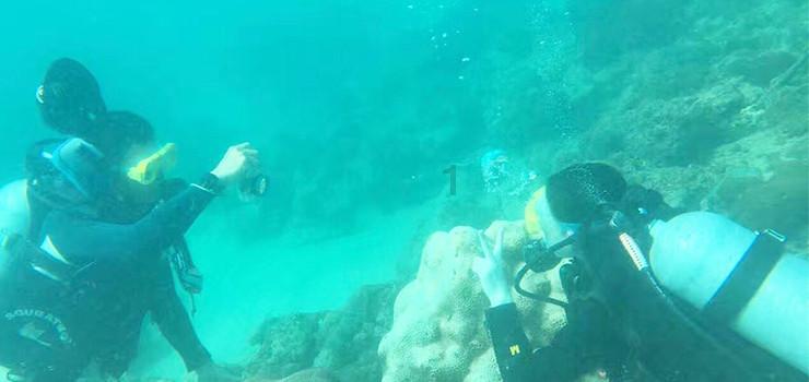 人鱼公主温泉疗养