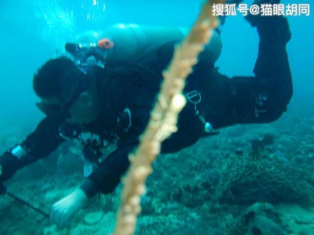 逗小猴开心系列177