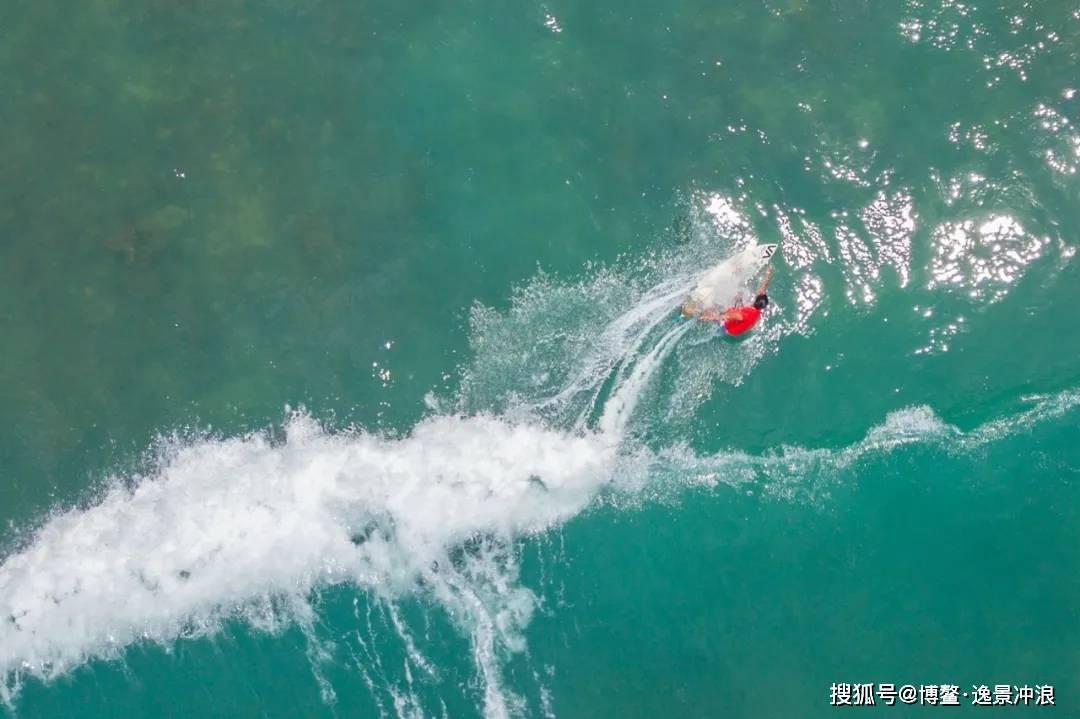 滚动的奶酪选关版