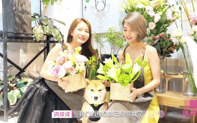 小猫钓鱼正版下载中文版