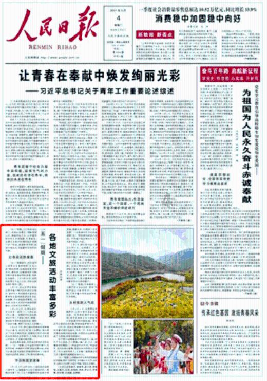 蓝狐视频