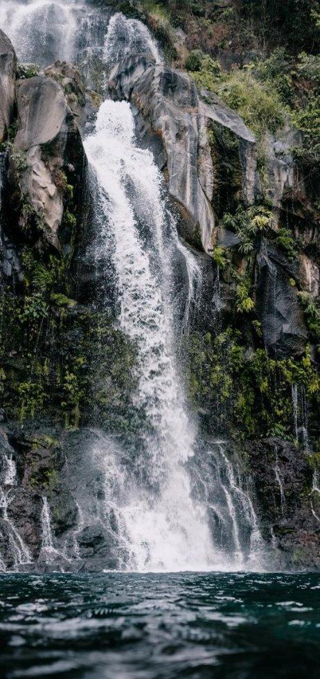沪江开心词场