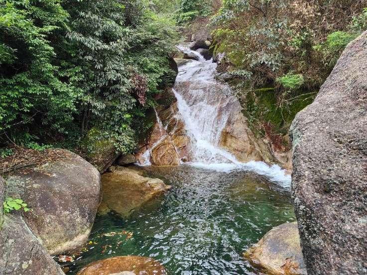虫虫助手下载