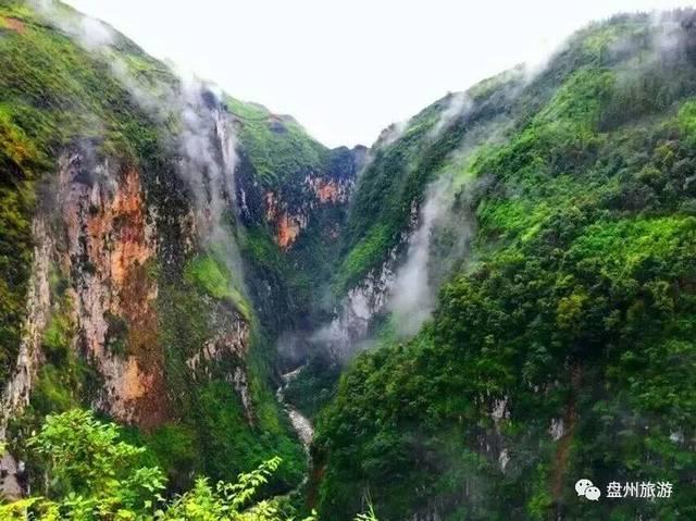夏日的婚礼