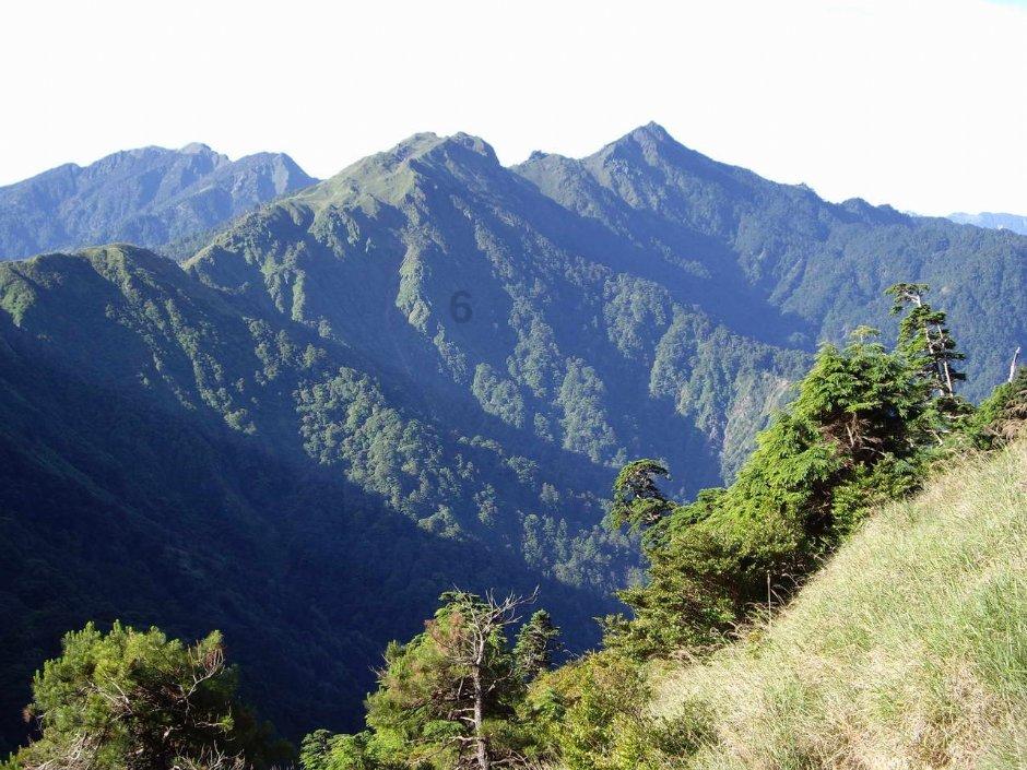 沪江开心词场