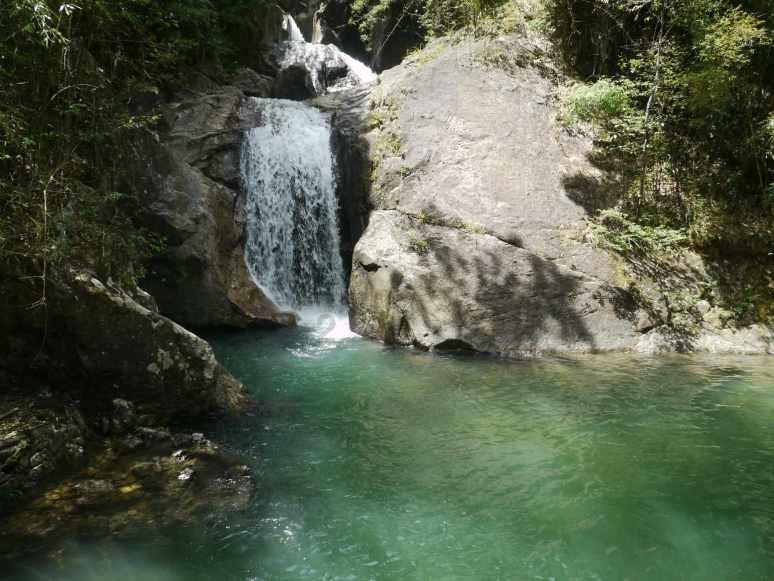 虫虫助手下载