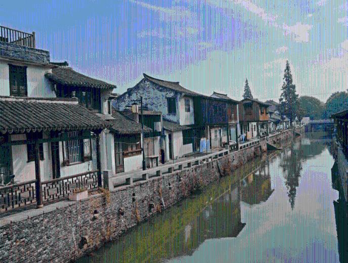 邵武市委主要领导调研指导防寒防冻工作