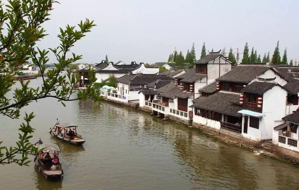 救援蓝色小兔