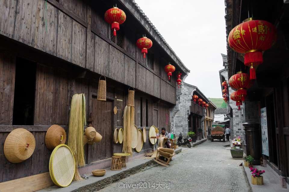 动物监测技术再突破!神明电子动物监测系统引领未来