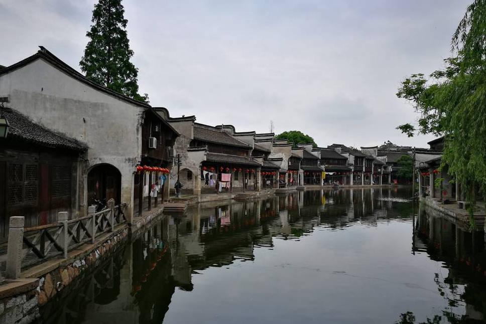 动物帮帮忙保卫家园