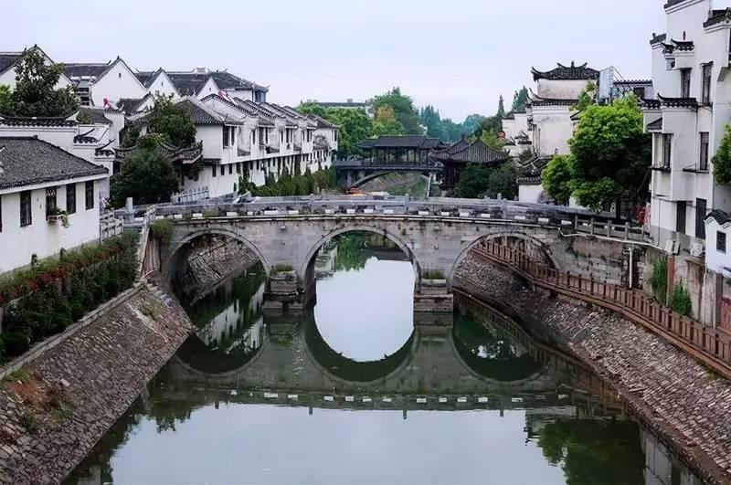 小犀牛救援