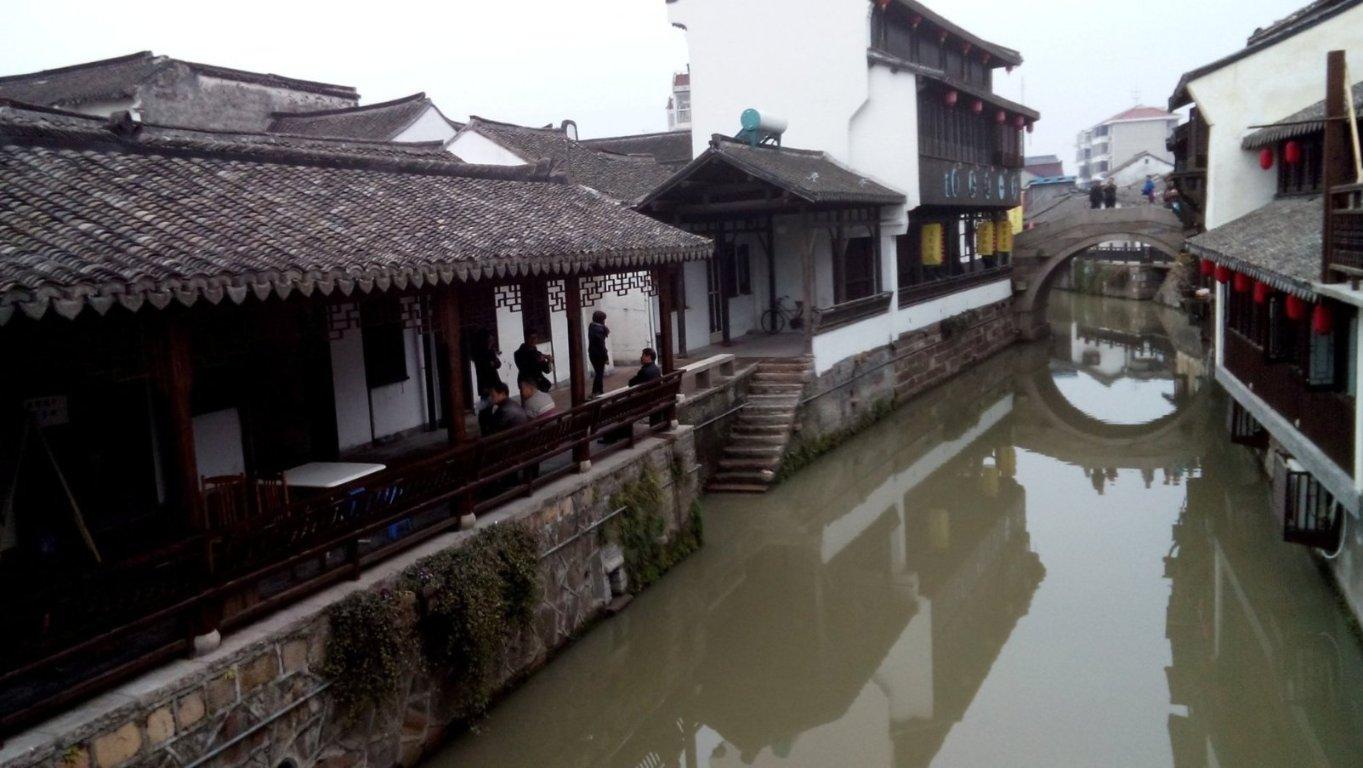 动物帮帮忙保卫家园