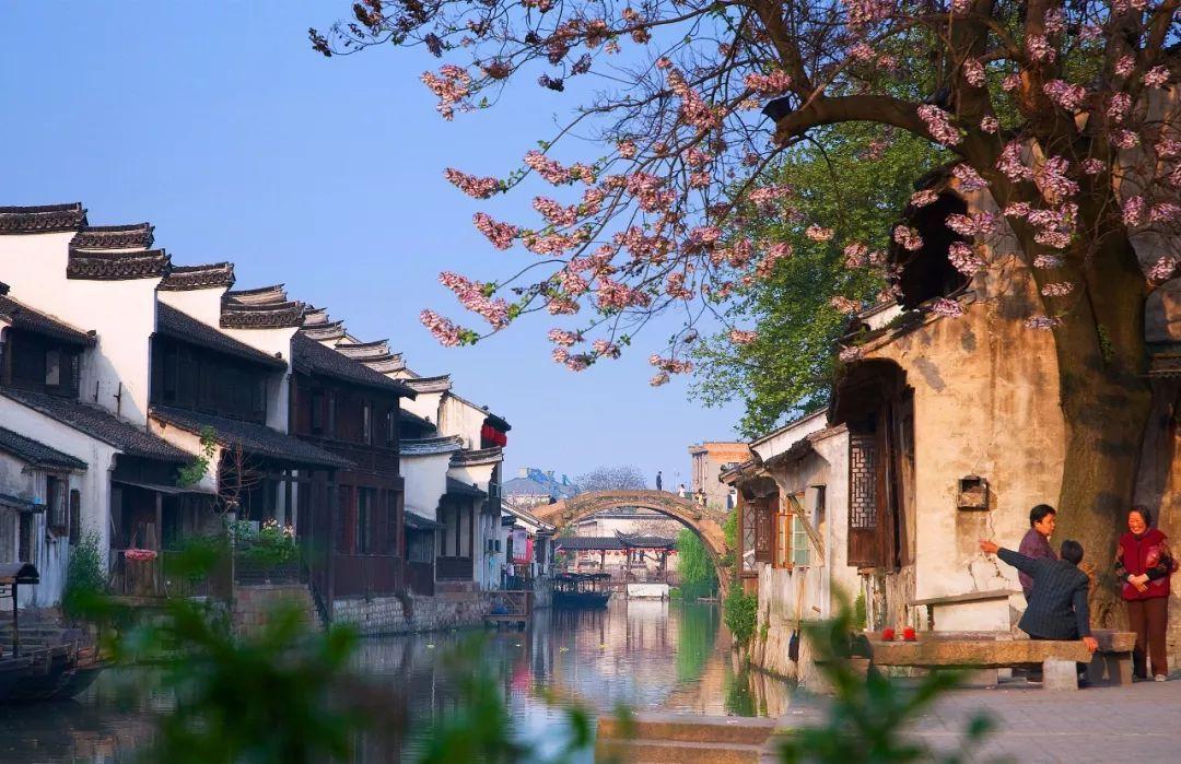 虫虫助手下载