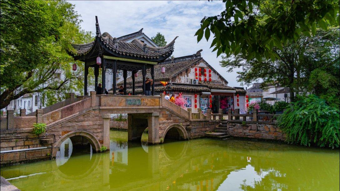 动物帮帮忙保卫家园