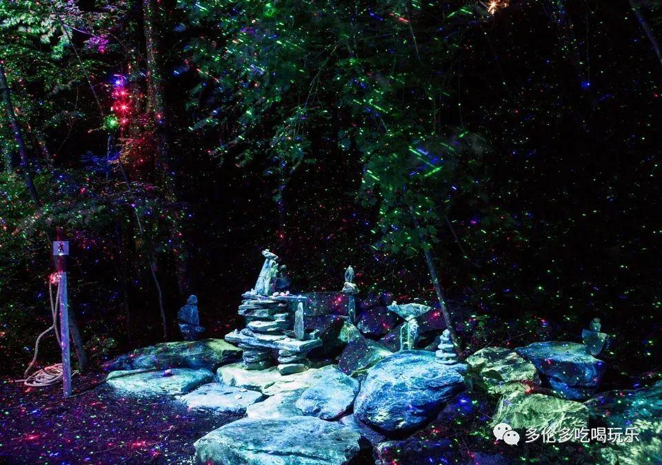 春雨直播app