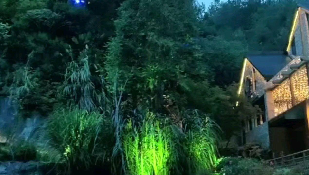 脑洞小老弟无实名认证