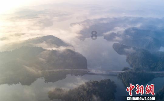 变异动物之战